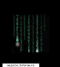 Alb sau negru? - Rai Matrix reloaded sau matrix revolutions - Chat