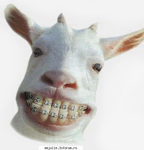 Funny pics - mejulie - Funny stuff